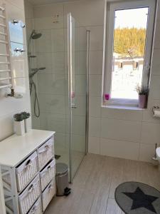 ein Bad mit einer Dusche und einer Glastür in der Unterkunft Apartament Czarna Góra Livigno in Heudorf