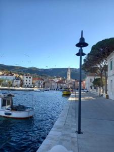 a boat in the water next to a street at Apartments Nela in Jelsa