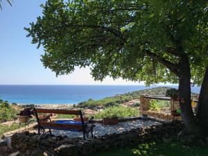 a bench under a tree with the ocean in the background at Villetta con piscina panoramica Belvedere Mari Pintau in Geremèas