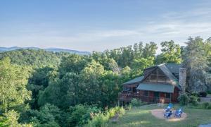 an aerial view of a cabin in the woods at Poppy’s Place Cabin in Dandridge