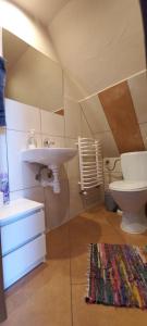 ムジャシフレにあるU Biziomaのバスルーム(洗面台、トイレ付)
