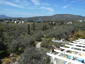 eine Vogelperspektive auf einen Park mit Bäumen und Bergen in der Unterkunft Trizinia view balcony in Galatás