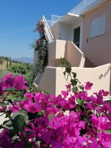 a bunch of pink flowers in front of a house at Trizinia view balcony in Galatas