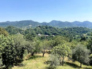 Caenere的住宿－Tenuta da Mosè con vista sui colli asolani，山坡上树木和山脉的背景