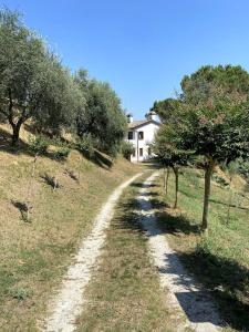 Caenere的住宿－Tenuta da Mosè con vista sui colli asolani，一条通往山上树木房屋的土路