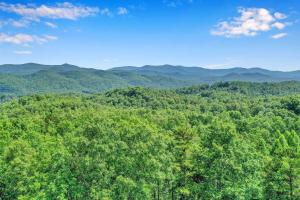 an aerial view of a forest with mountains in the background at Bear Cloud in Blue Ridge