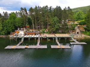 an aerial view of a dock in the water at Franzdorf Alpin in Văliug