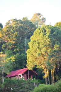 a house with a red roof in front of trees at Reserva Natural Cerro Alto in Empalme