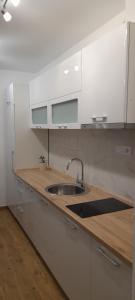 a kitchen with a sink and a counter top at Apartmani Sunlight in Vrnjačka Banja +49 photos