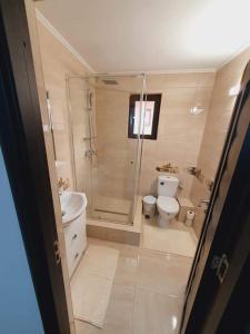 a bathroom with a shower and a toilet and a sink at CASA RIZEA in Salcioara +23 photos