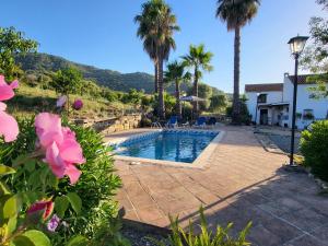 a swimming pool with palm trees and a house at Casa Rural Casa del Tigre in Gaucín