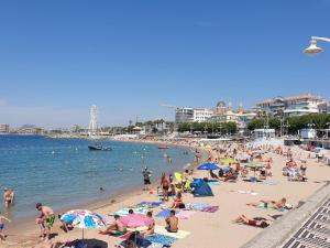 eine Gruppe von Menschen an einem Strand im Wasser in der Unterkunft Le Belvédère du Vieux Port Plages centre et gare à pied in Saint-Raphaël + 6 Fotos