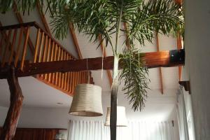 Fotografie z fotogalerie ubytování Casa Moes v destinaci Cahuita + 17 fotografií
