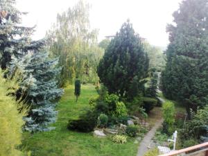 a garden with two large trees and a path at Podkrovní apartmán in Olomouc