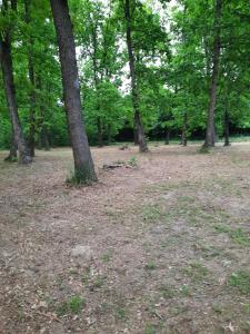 Fotografie z fotogalerie ubytování Ferienwohnung Süß v destinaci Kovanluk