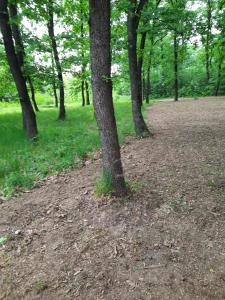 Fotografie z fotogalerie ubytování Ferienwohnung Süß v destinaci Kovanluk + 12 fotografií