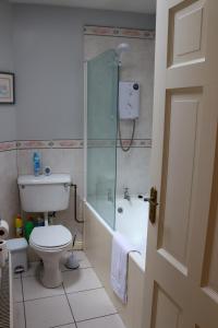 a bathroom with a toilet and a shower and a sink at Ashe Street in Clonakilty