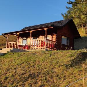 a log cabin on a hill with a grassy slope at La Hacienda in Cheţani