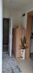una stanza con un armadio e una pianta in vaso di Apartman Studio Teona a Nova Varoš