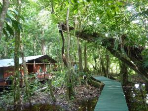 a wooded area with benches and trees at Hotel Casa Perico in Río Dulce