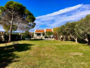 Gallery image of Vintage Beach House in Alexandroupoli