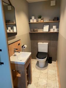 a bathroom with a toilet and a sink at Lark in Schleibnitz