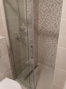 prysznic ze szklanymi drzwiami i toaletą w obiekcie Apartment penthouse & apartment studio Franci w mieście Pag +37 zdjęć
