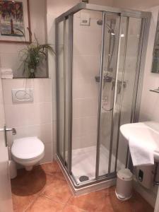 a bathroom with a shower and a toilet and a sink at Ferienhaus Christianenhöhe App 34 in Westerland (Sylt)