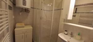 Kúpeľňa v ubytovaní Horní Mísečky Apartmán E25 u sjezdovky, max 6 osob