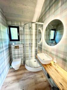 bagno con servizi igienici, lavandino e specchio di Domki na Kaszubach - Gołubie - Sikorska Dolina II a Sikorzyno