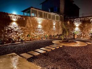 a small tree sitting in the middle of a road at night at El Zócalo Hotel Boutique in Filandia