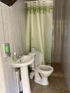 a bathroom with a toilet and a sink at Աշխարհից հեռու Далико от мира in Vanadzor