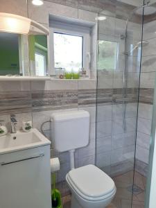 La salle de bains est pourvue de toilettes, d'une douche et d'un lavabo. dans l'établissement Hiša Planica, à Kobarid