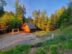 a cabin in the middle of a forest at Domek Polana Przyborów in Przyborów