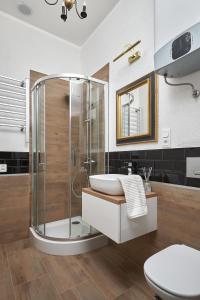 Art Apartment Grzmiąca في Grzmiąca: حمام مع دش ومغسلة ومرحاض