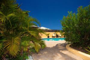 a swimming pool with palm trees in front of a house at Spacious Villa with Ocean and Mountain view-4 beds in Cul de Sac