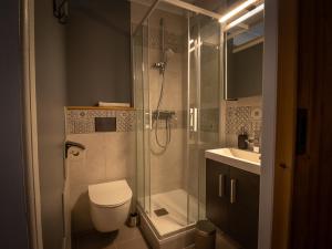 a bathroom with a shower and a toilet and a sink at Gîte Les Bartavelles in Jausiers