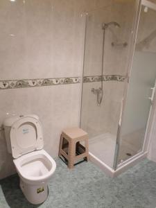 a bathroom with a toilet and a shower and a stool at Apartamento Pirulana Bajo in Fisterra
