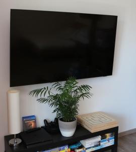 a tv hanging on a wall with a plant on a table at Ferienappartement Austen in Piding