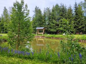 einen Garten mit einem Teich und einem Pavillon in der Unterkunft Birtok Houses- twin no 1 for 2 people in Borzont