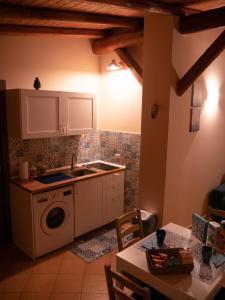 eine Küche mit einer Spüle und einer Waschmaschine in der Unterkunft Il Gelsomineto dell'Etna in Nicolosi