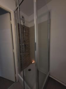 W łazience znajduje się prysznic ze szklanymi drzwiami. w obiekcie Logement La courneuve-Aubervilliers RerB w mieście La Courneuve