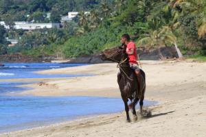 Ein Mann reitet ein Pferd am Strand in der Unterkunft Hotel Tieti in Poindimié