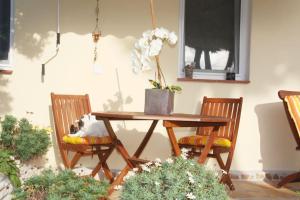 Billede fra billedgalleriet på Suite Wellness Azul i La Orotava