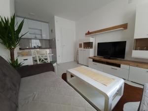 a living room with a couch and a tv and a kitchen at Apartman Kerkez in Soko Banja