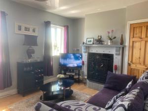 a living room with a couch and a tv at Meelin cottage in Cork