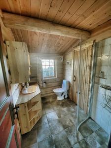 uma casa de banho com um WC, um lavatório e um chuveiro em Timber Lodge in Uvdal Skisenter VIEW/WIFI em Sønstebø