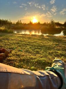Charmant POD en bois près d'un plan d'eau في Nielles-lès-Ardres: شخص يستلقي على العشب في حقل مع غروب الشمس