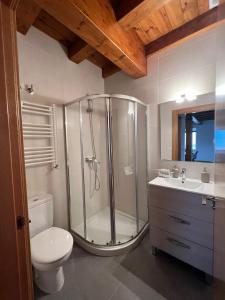 a bathroom with a shower and a toilet and a sink at Torre Ortiz de Zárate 