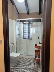 a bathroom with a toilet and a glass shower at Inma Enea in Armañanzas +14 photos